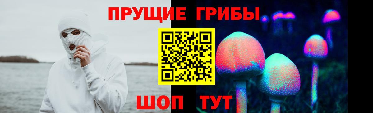 Кузнецк  Галлюциногенные грибы GOLDEN TEACHER  Галлюциногенные грибы Psilocybine cubensis  Вход с VPN 